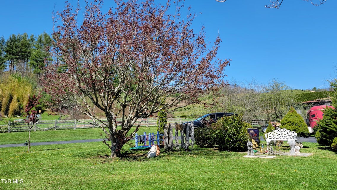 Photo #9: 138 J Phillipi Road