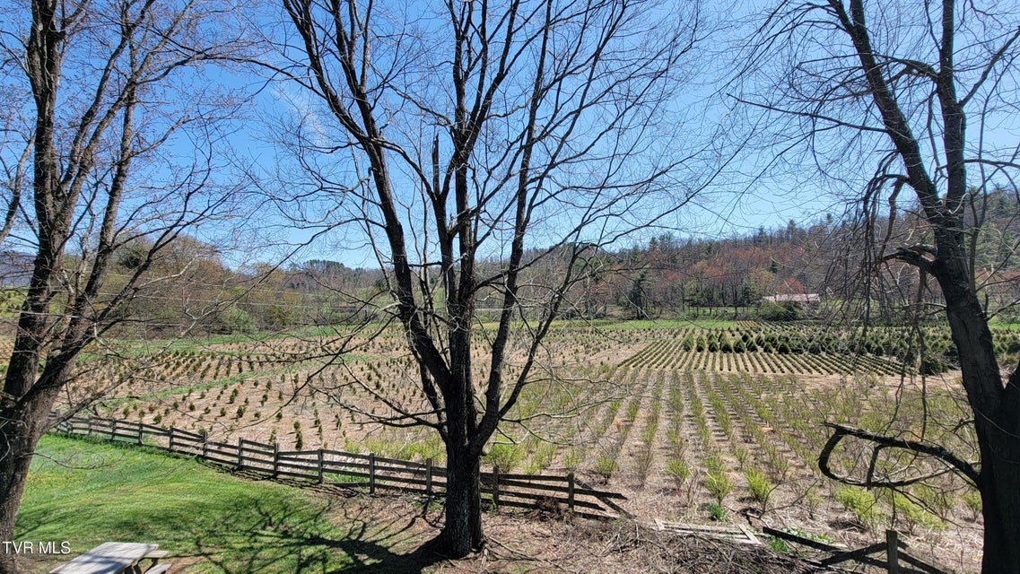 Photo #53: 138 J Phillipi Road