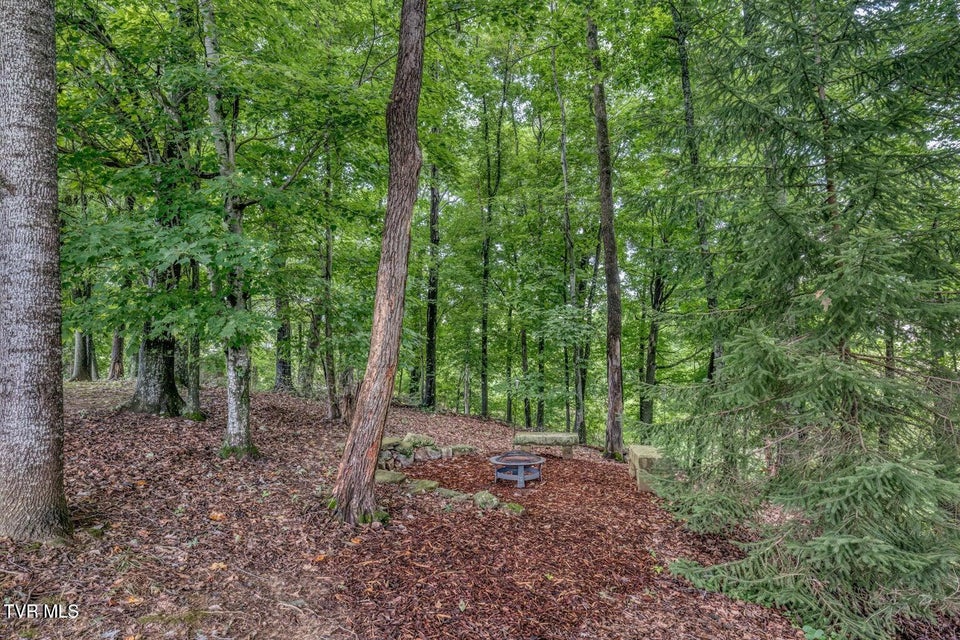 Photo #9: 1828 Weaver Branch Road