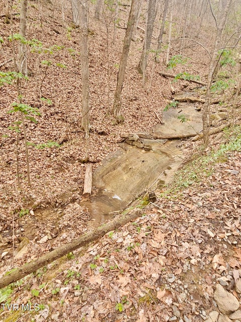 Photo #2: 0 Christians Bend Road