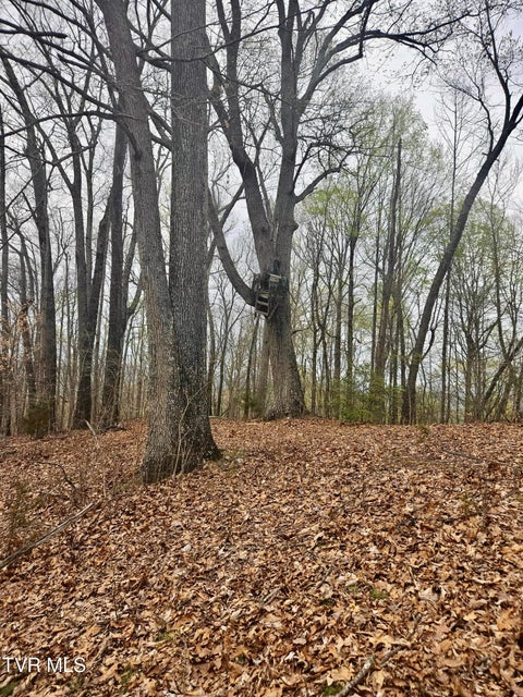 Photo #3: 0 Christians Bend Road