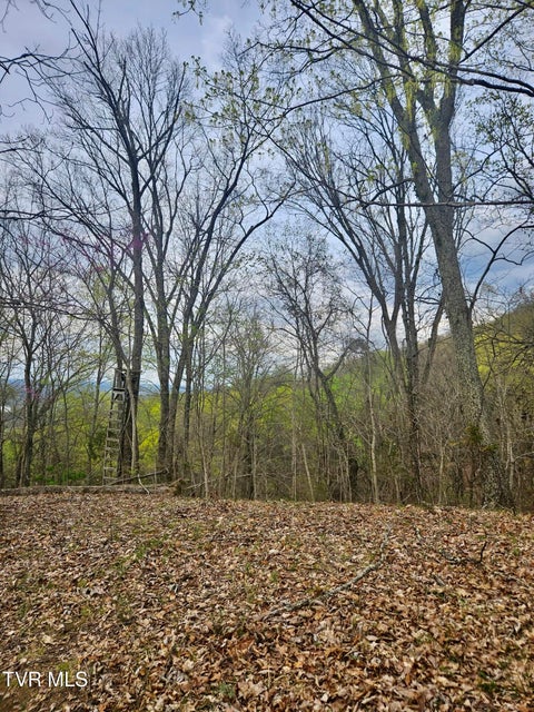 Photo #5: 0 Christians Bend Road