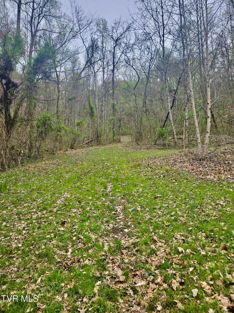 Photo #7: 0 Christians Bend Road