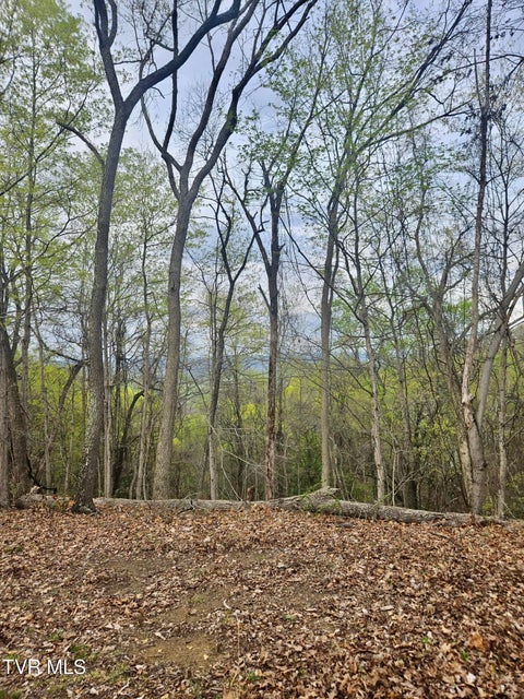 Photo #8: 0 Christians Bend Road