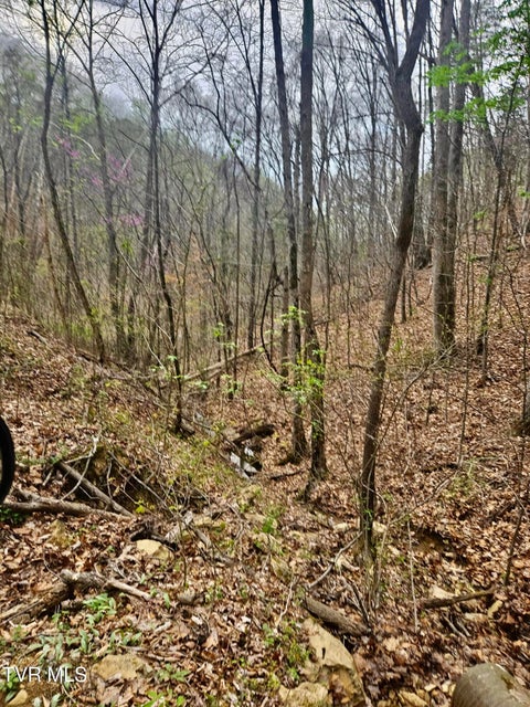 Photo #11: 0 Christians Bend Road