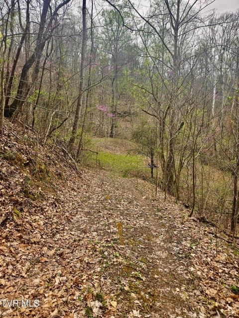 Photo #13: 0 Christians Bend Road