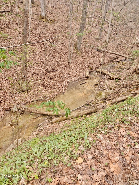 Photo #14: 0 Christians Bend Road