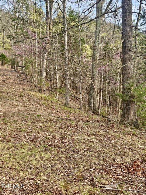 Photo #15: 0 Christians Bend Road