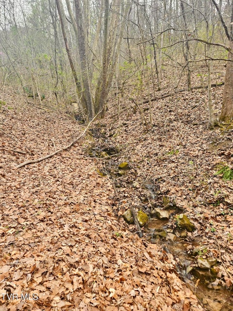 Photo #17: 0 Christians Bend Road