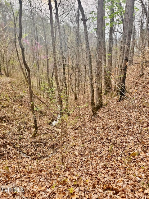 Photo #18: 0 Christians Bend Road