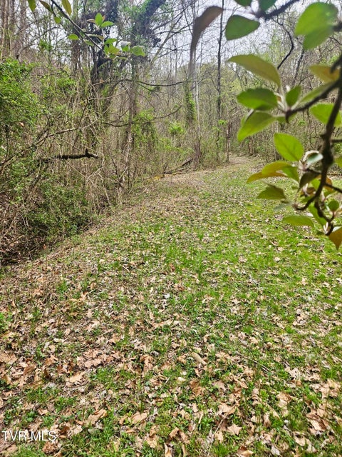 Photo #20: 0 Christians Bend Road