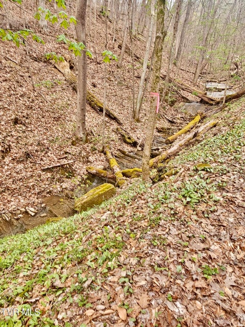 Photo #23: 0 Christians Bend Road
