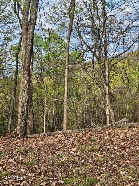 Photo #24: 0 Christians Bend Road