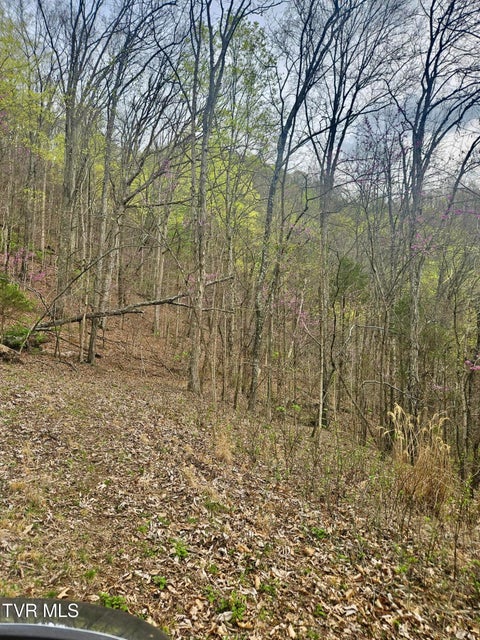Photo #25: 0 Christians Bend Road