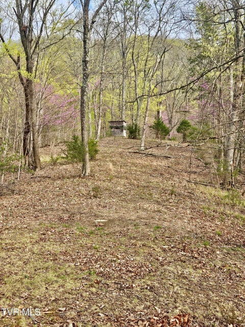 Photo #31: 0 Christians Bend Road