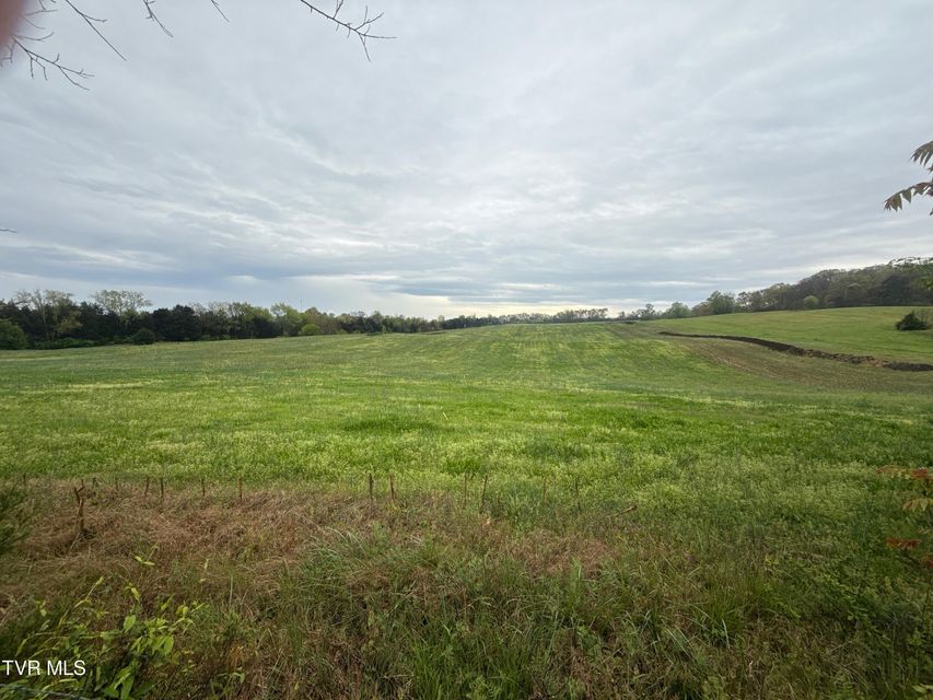Photo #4: 58/Ac Tbd River View Drive