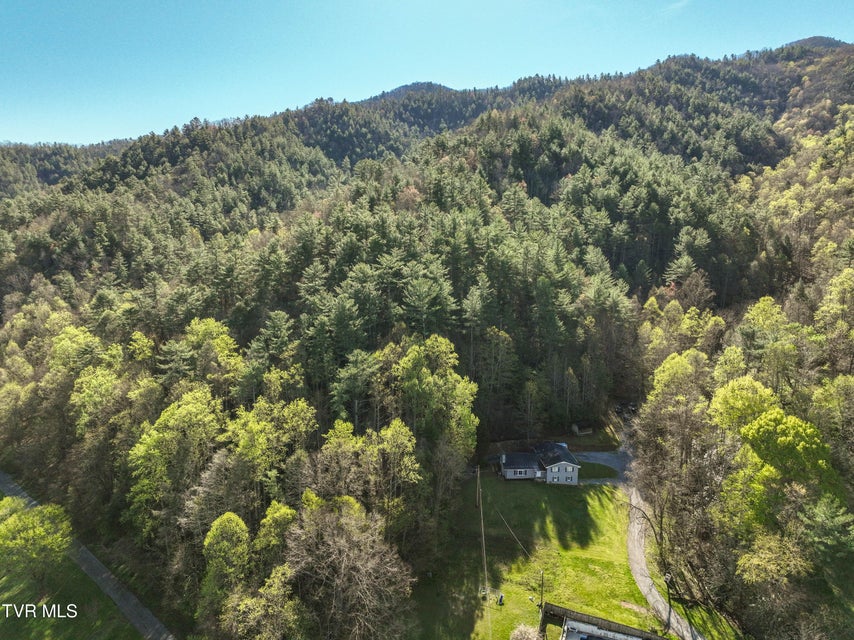 Photo #49: 115 Freeman Silvers Road