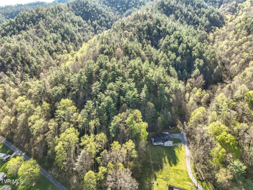 Photo #51: 115 Freeman Silvers Road