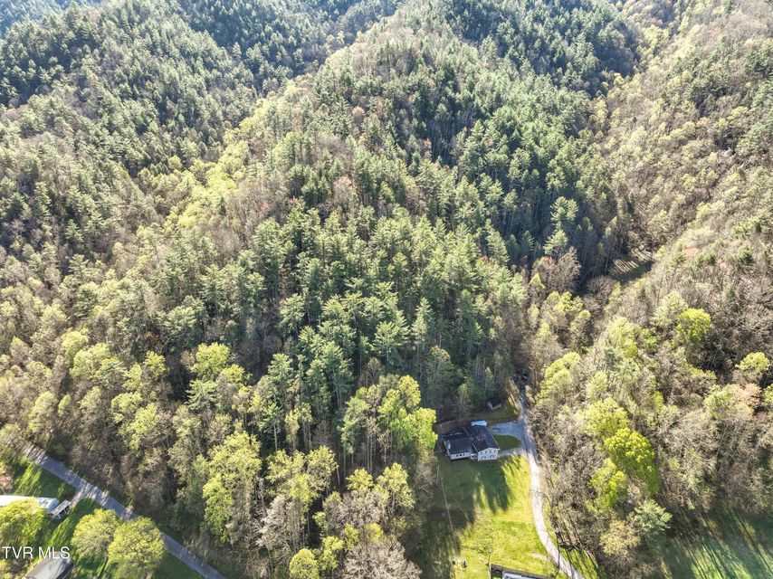 Photo #54: 115 Freeman Silvers Road