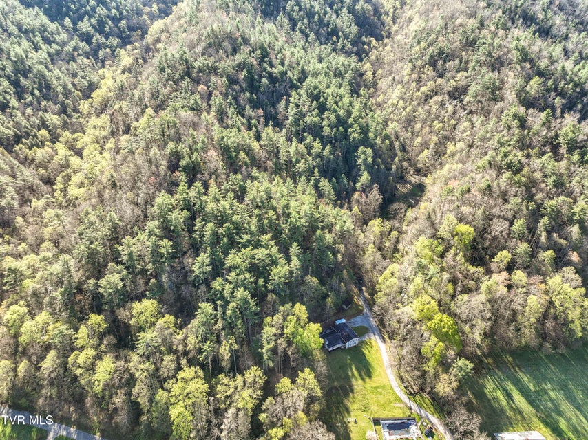 Photo #56: 115 Freeman Silvers Road