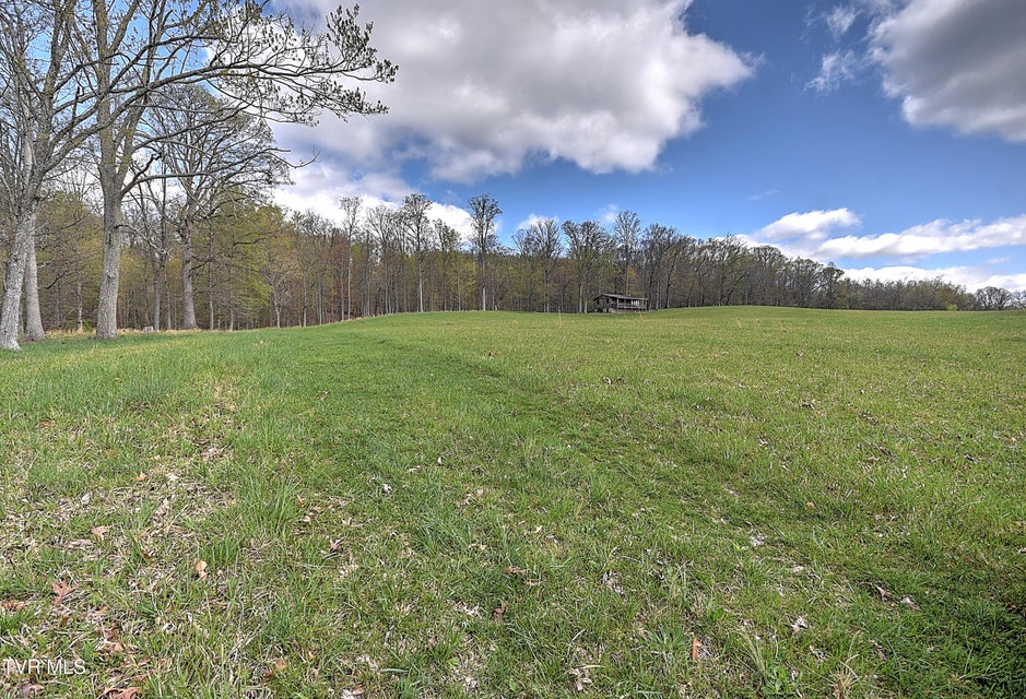 Photo #31: Tbd Young Dr