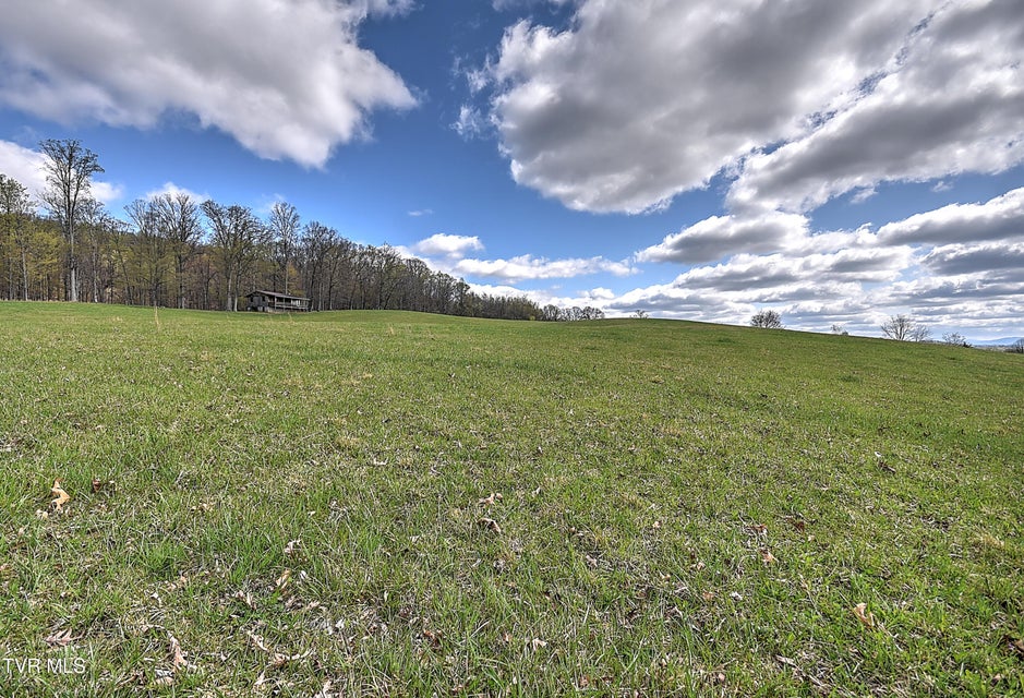 Photo #32: Tbd Young Dr