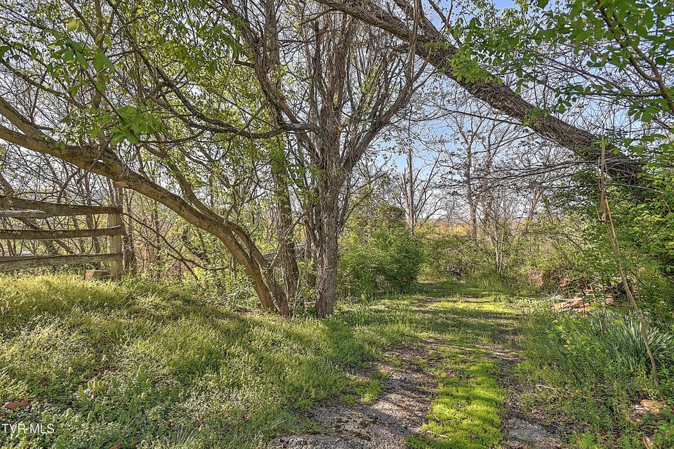 Photo #47: 2000 Mckinney Drive