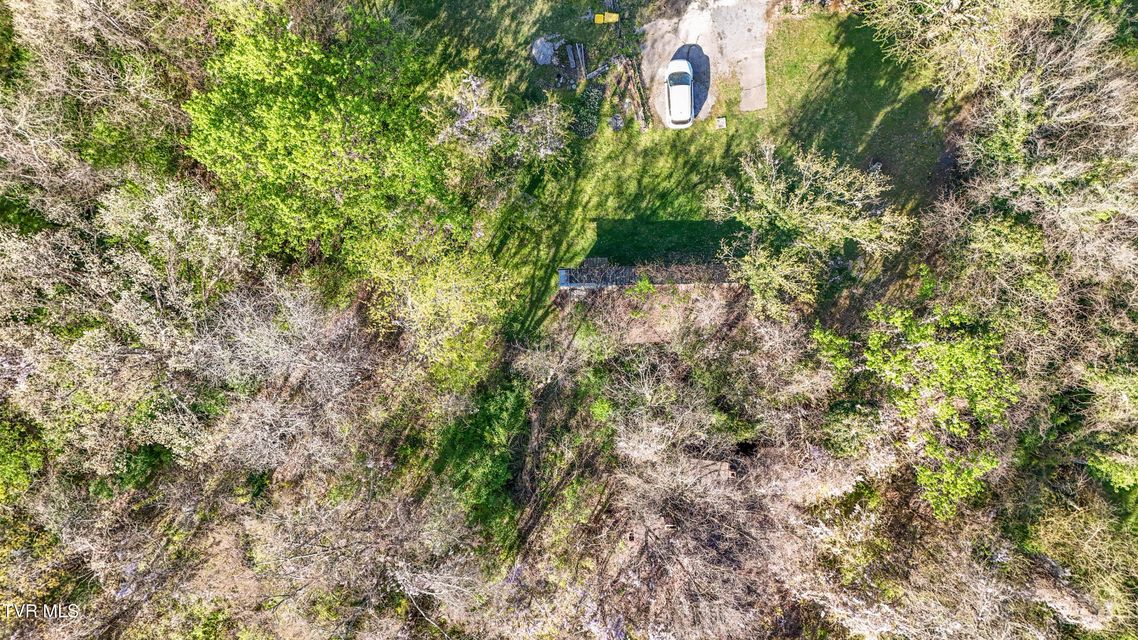 Photo #62: 2000 Mckinney Drive