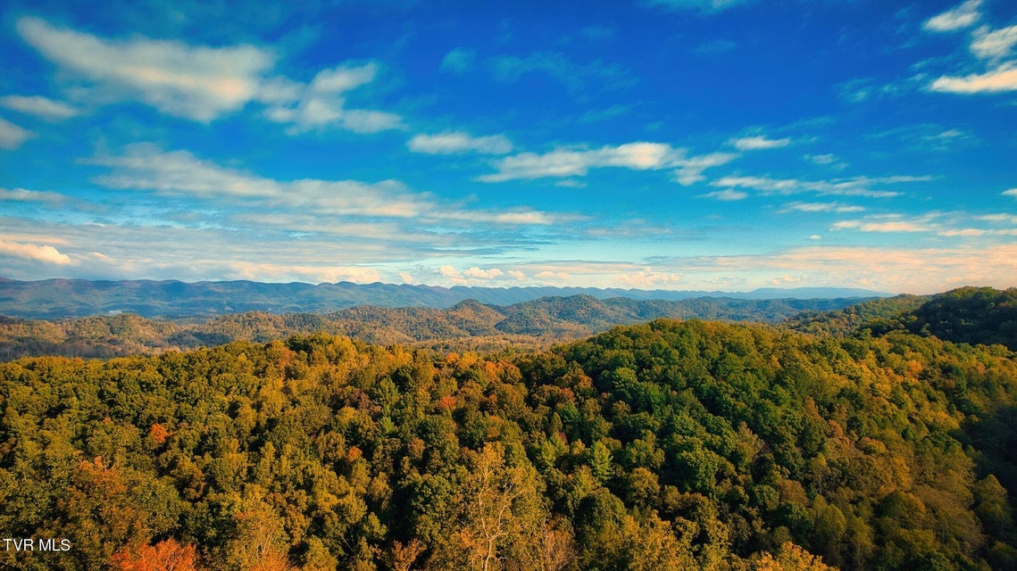 Photo #5: Tbd Shelleys Road