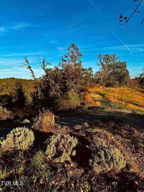 Photo #9: Tbd Shelleys Road