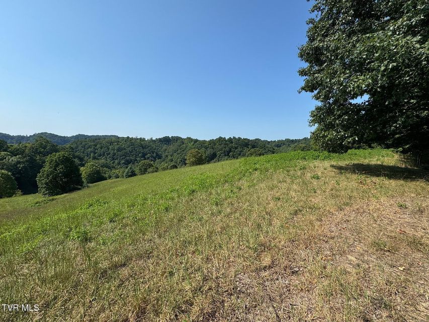 Photo #17: Tbd Shelleys Road