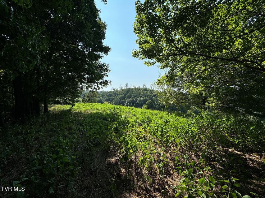 Photo #20: Tbd Shelleys Road