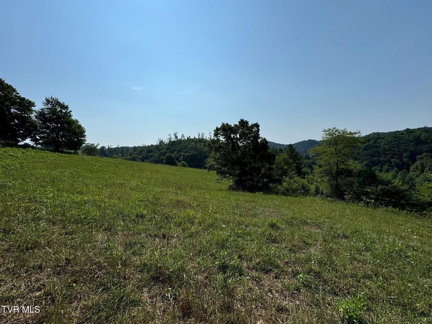 Photo #21: Tbd Shelleys Road