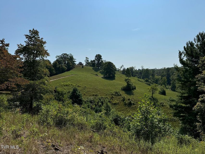 Photo #22: Tbd Shelleys Road