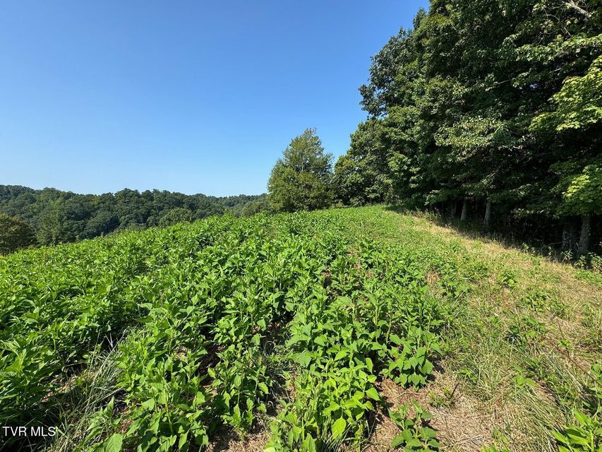 Photo #23: Tbd Shelleys Road