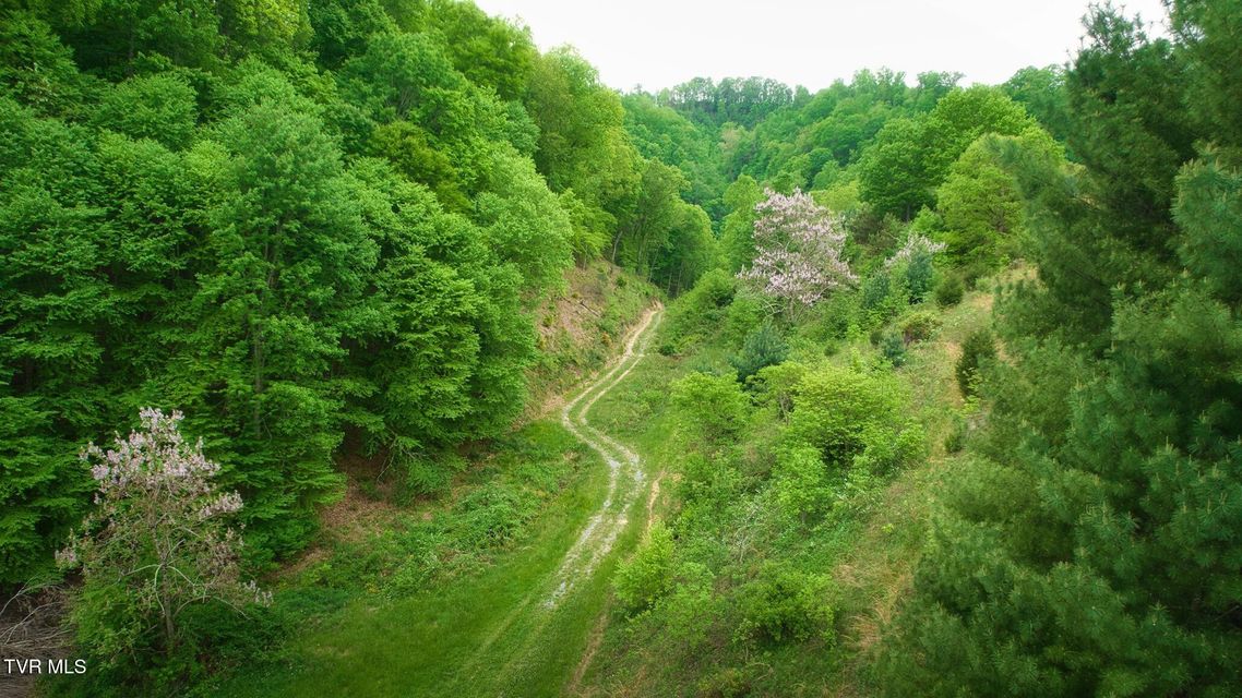 Photo #26: Tbd Shelleys Road