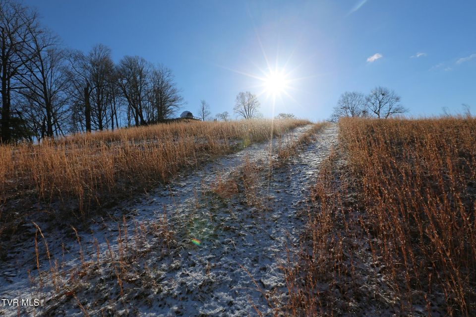 Photo #42: Tbd Shelleys Road