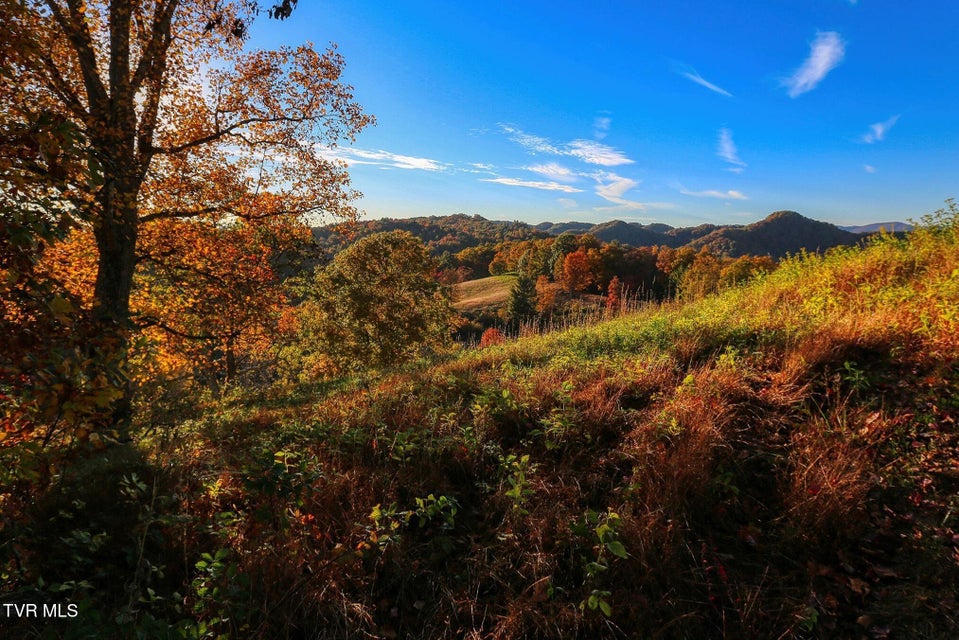 Photo #54: Tbd Shelleys Road