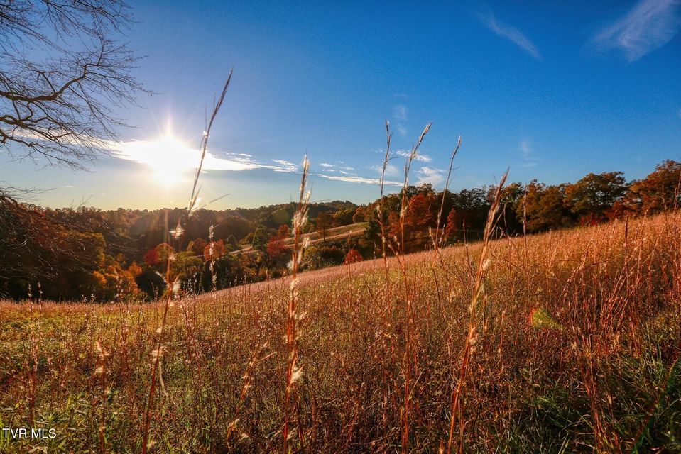 Photo #62: Tbd Shelleys Road