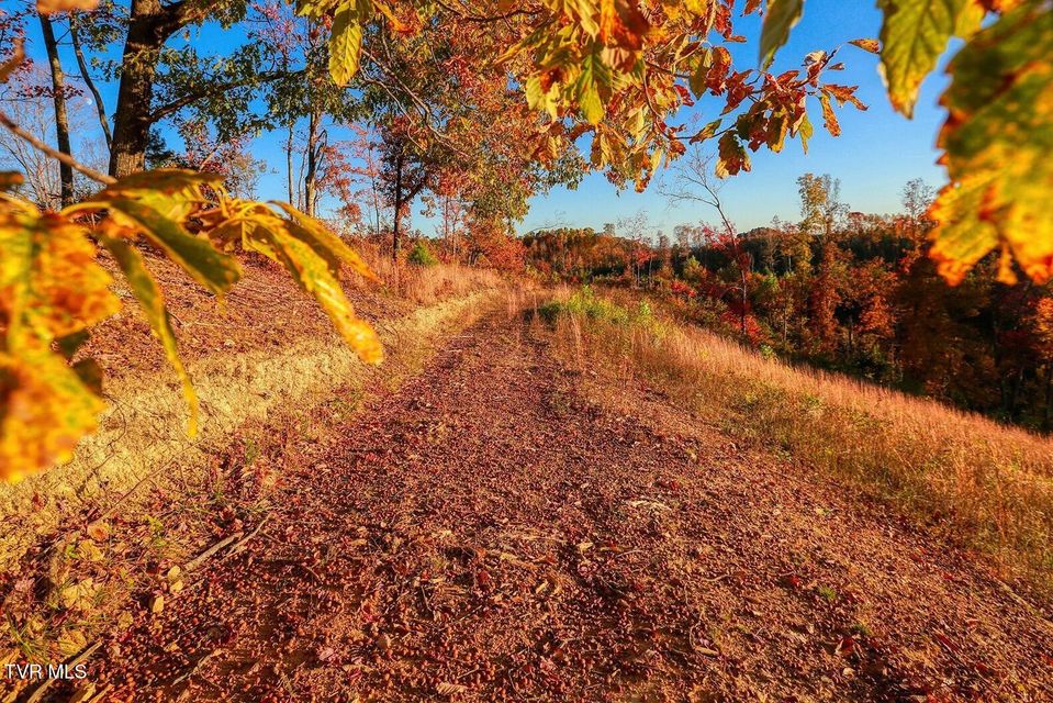 Photo #67: Tbd Shelleys Road