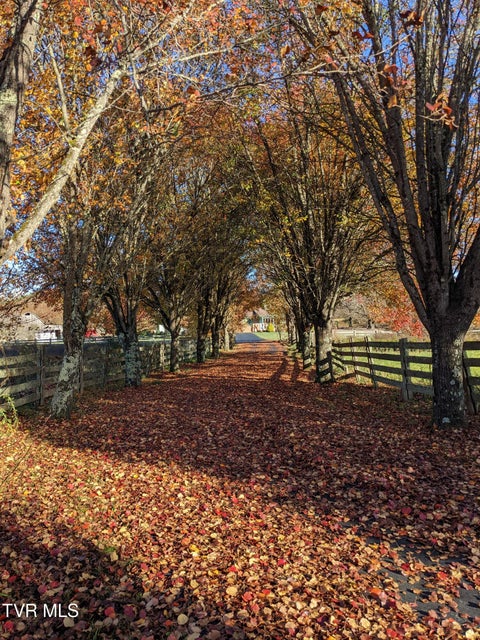 Photo #6: 138 J Phillipi Road