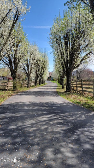 Photo #5: 138 J Phillipi Road