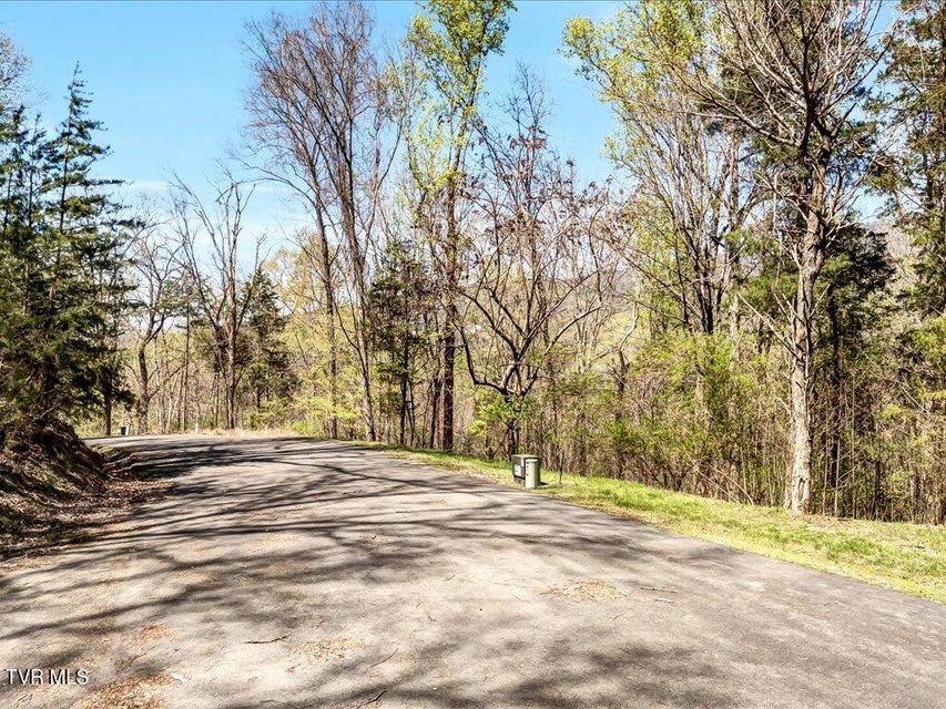 Photo #7: Lot 34 5 Oaks Circle