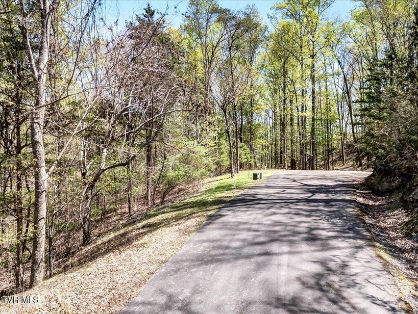 Photo #8: Lot 34 5 Oaks Circle