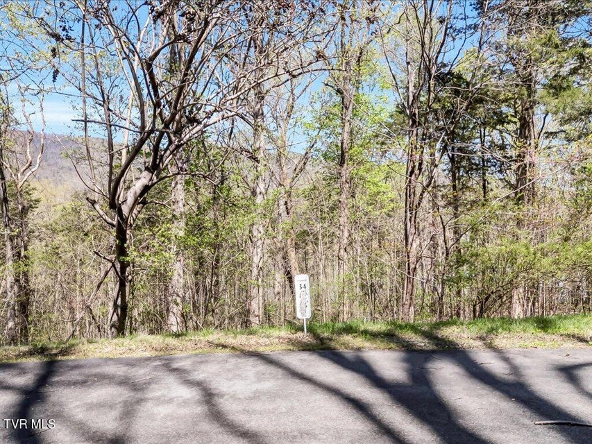 Photo #9: Lot 34 5 Oaks Circle
