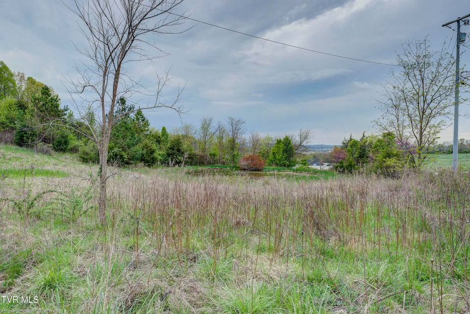 Photo #29: 133 Telford Road