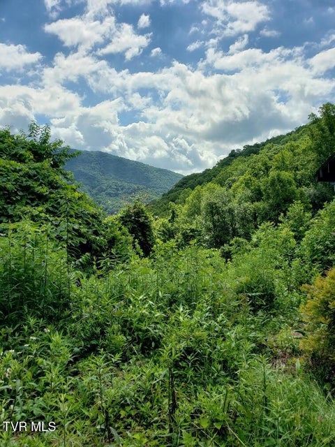 Photo #12: 174 Doty Road