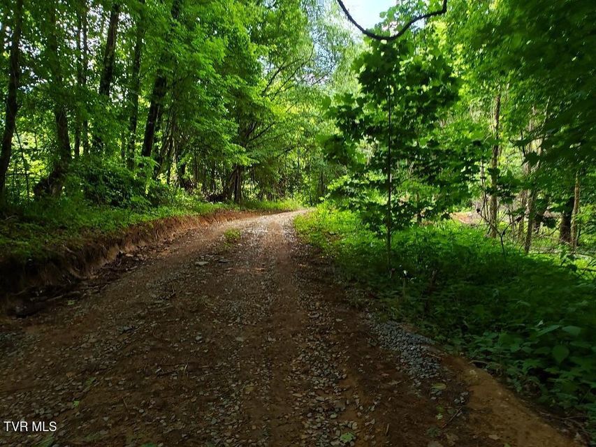 Photo #14: 174 Doty Road