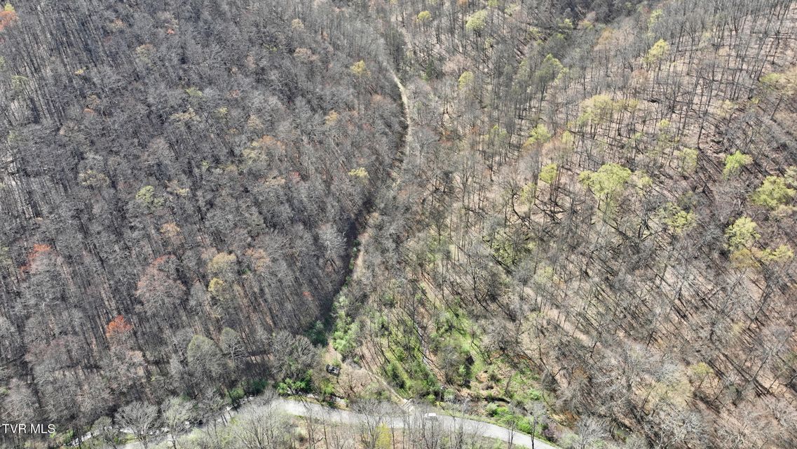 Photo #6: 0 Guesses Fork