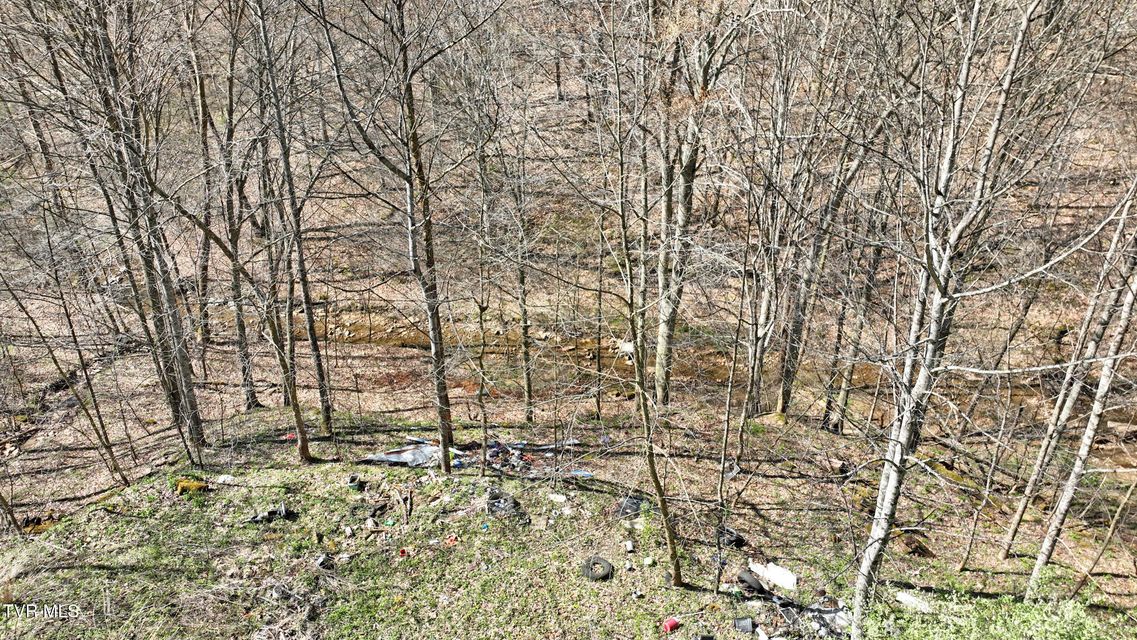 Photo #11: 0 Guesses Fork